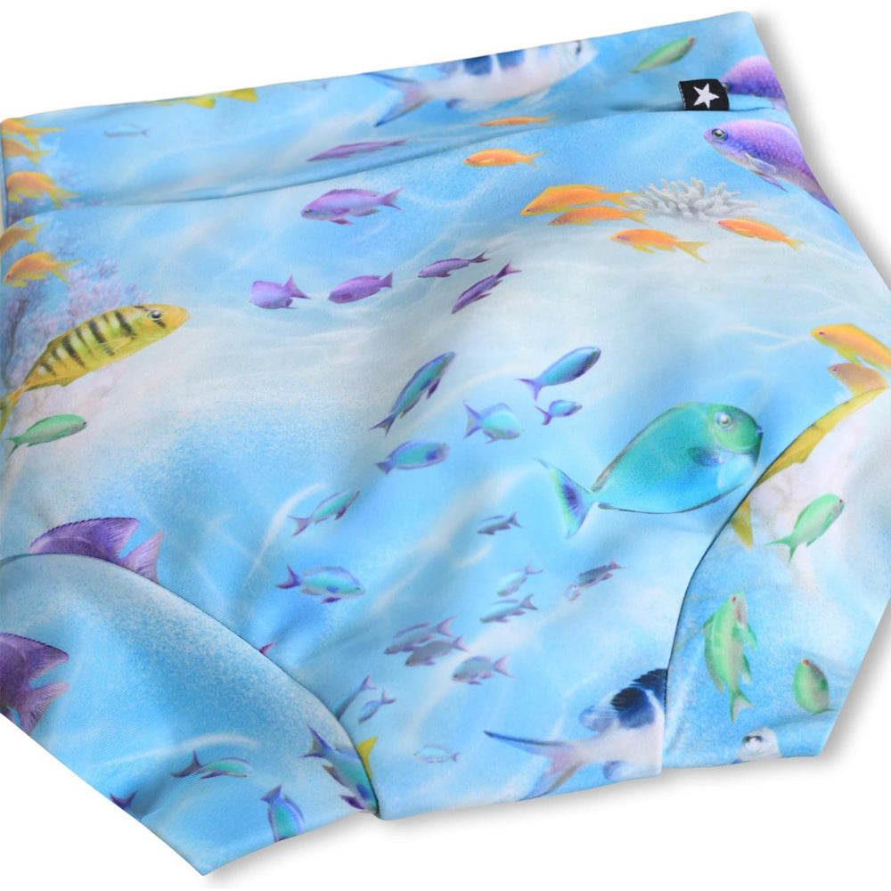 Køb Molo Rainbow Sea Nick Badeshorts