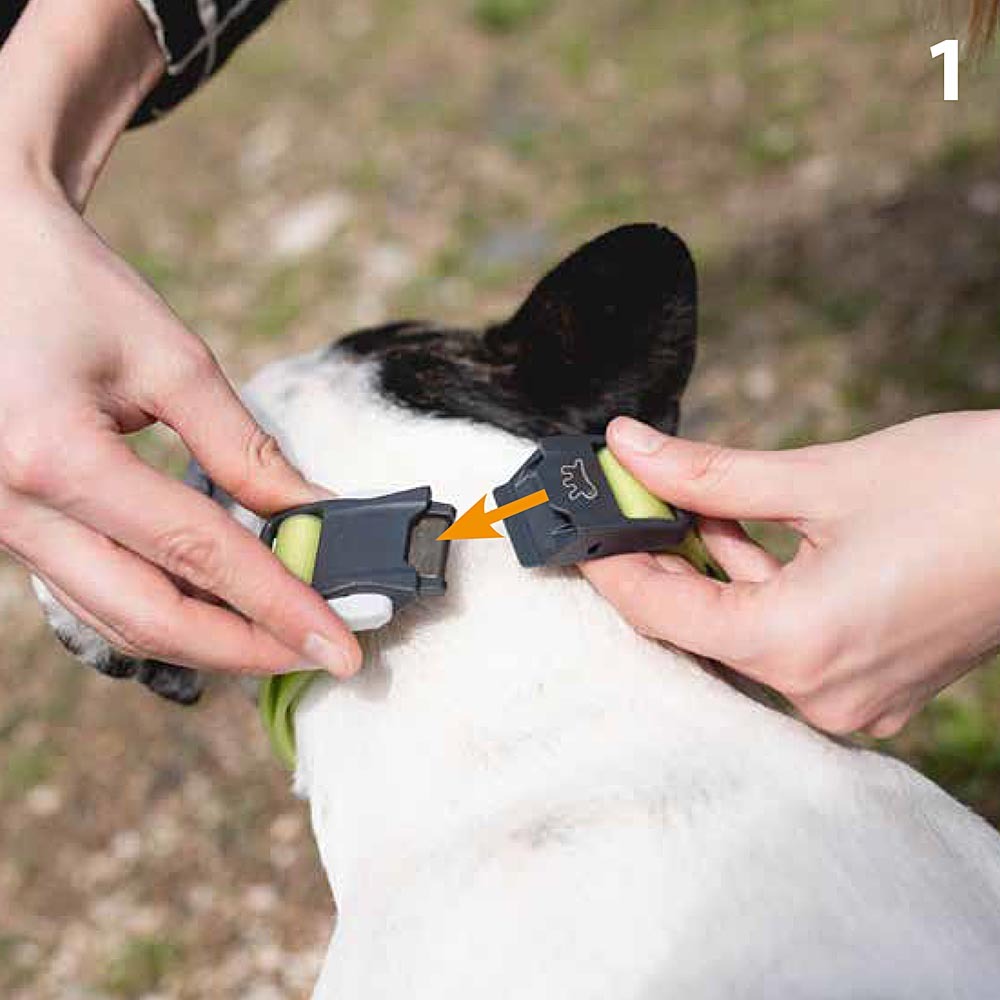 Collier pour chiens evolution c16/32 avec boucle magnétique, hypoallergénique, lavable, orange