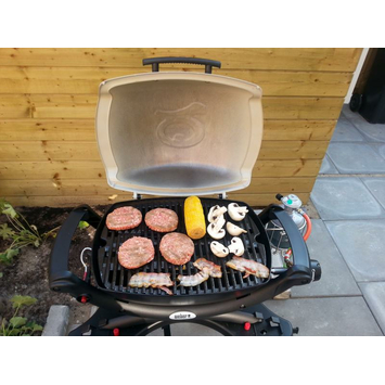 Weber Q1000 gas bbq beige 1 brander