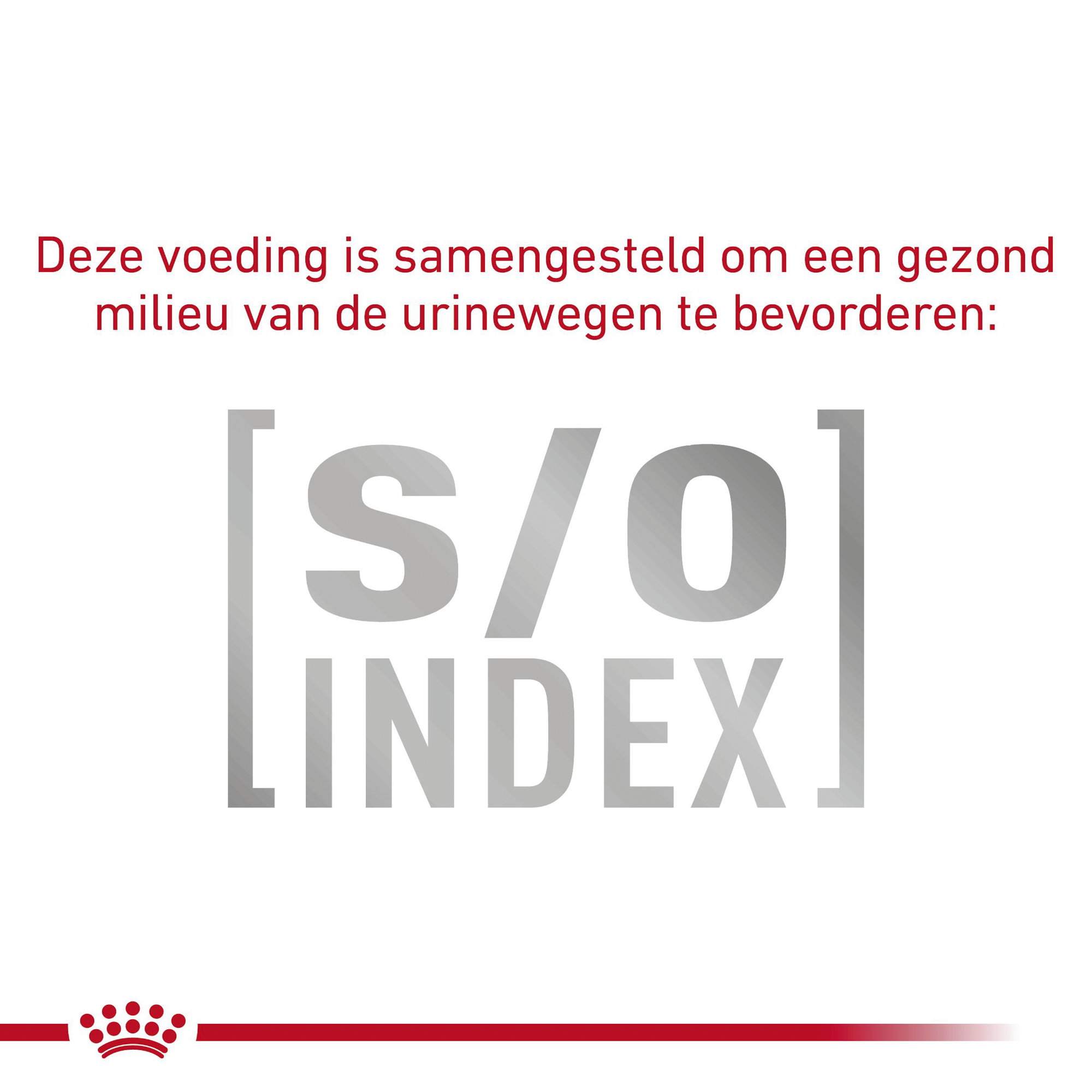 Royal Canin Gastrointestinal Kat - Maaltijdzakje