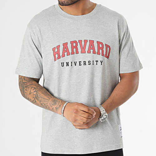 Tee Shirt Oversize Large Harvard Gris Chiné Blanc