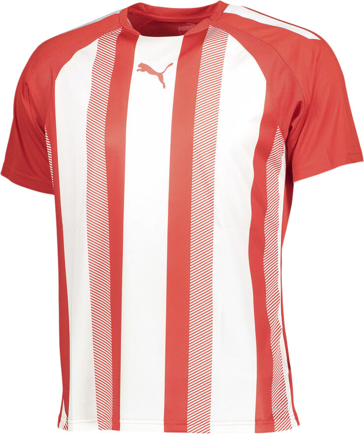 Puma Teamliga Striped T-shirt Rød