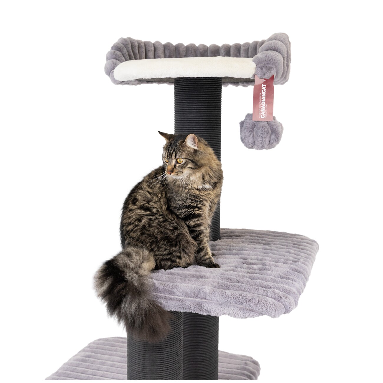 Canadian Cat Company Kratzbaum Barrie