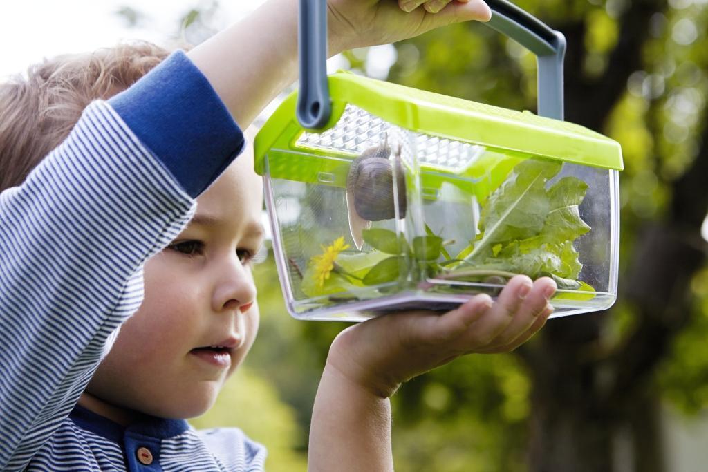 Insektenbox TEKids in grün