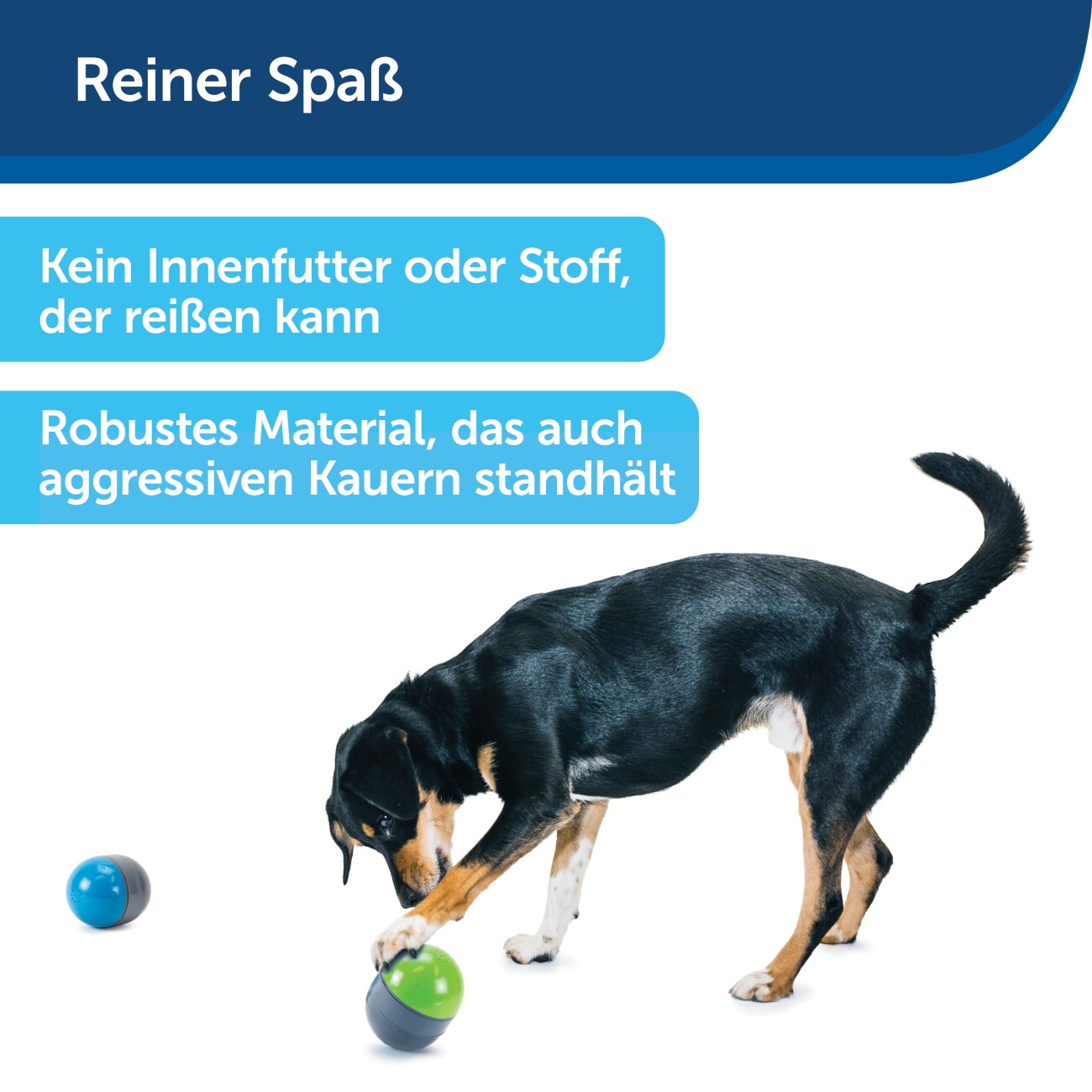 PetSafe Elektronisches Hundespielzeug Ricochet