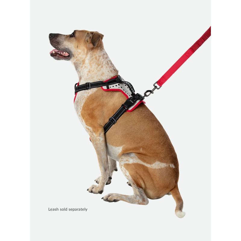 K9 Reflective Dog Harness - Harnais pour chien