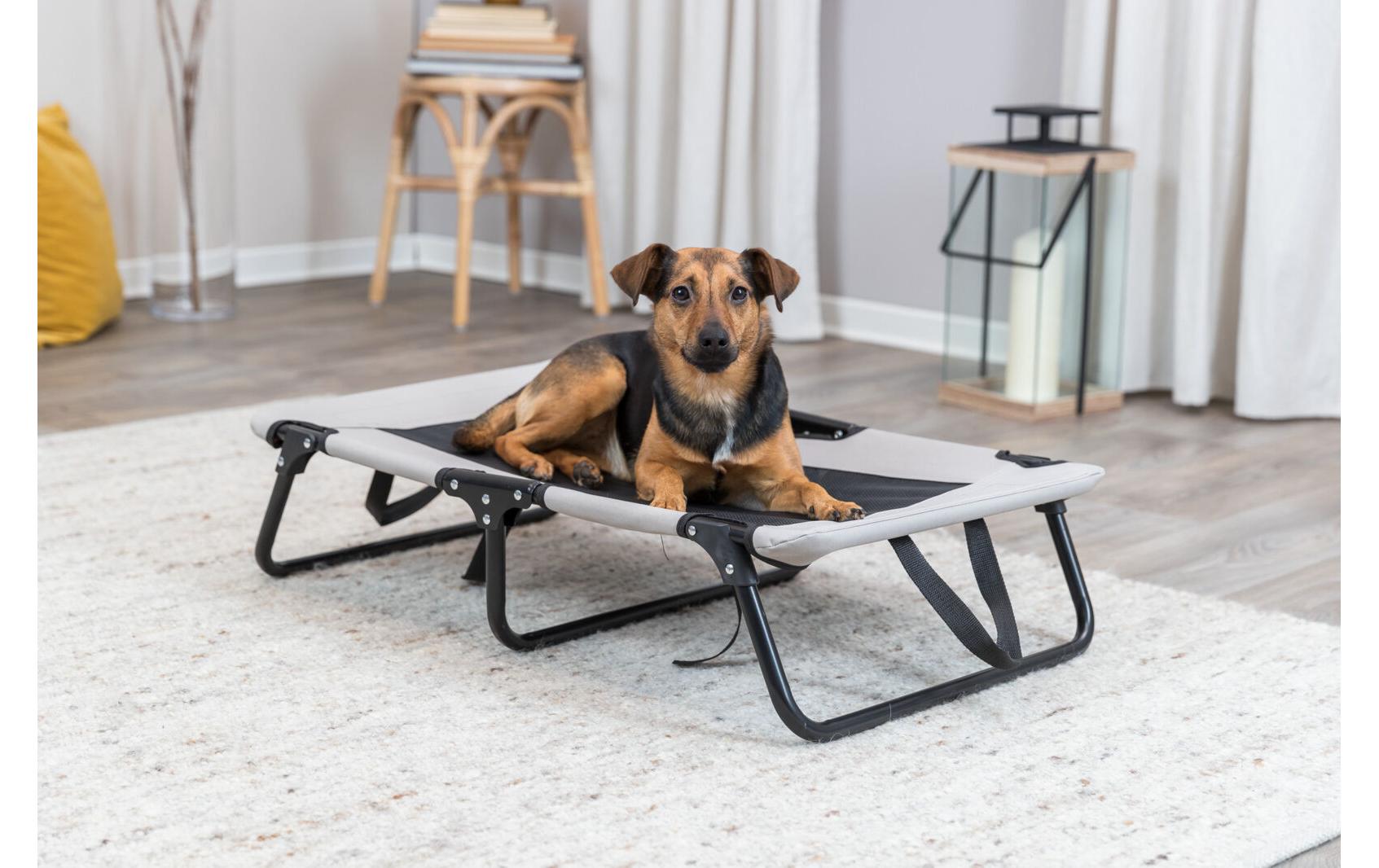 Hundeliege Strong Edition, 79 x 19 x 50 cmBelastbare Liege für Hunde
