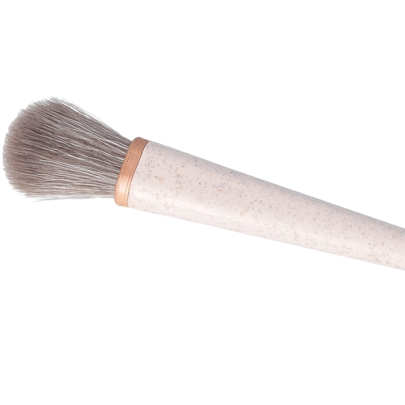 Parsa Beauty Eyeshadow Brush