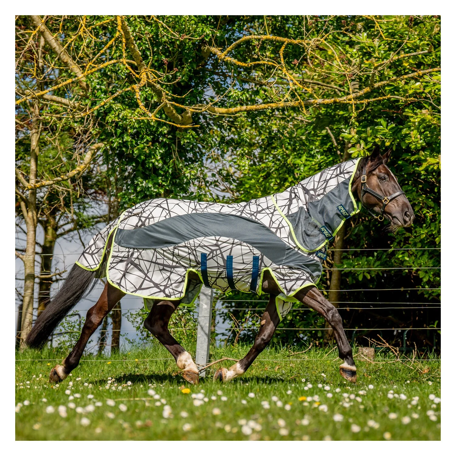 HORSEWARE AMIGO Weide- und Fliegendecke 3-in-1 Camofly - camoprint/lime