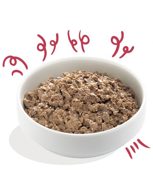Edgard&Cooper Kuipje Bio Beef Adult - Hondenvoer - Rund Kokos Chiazaad 100 g Biologisch