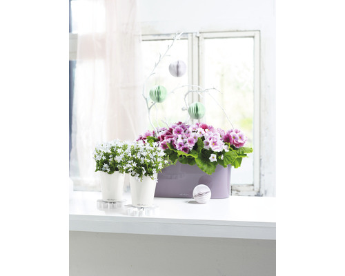 Lechuza Deltini Mini kunststof bloempot Ø 10 H 13 cm wit incl. grondbewateringssysteem en waterniveau-indicator