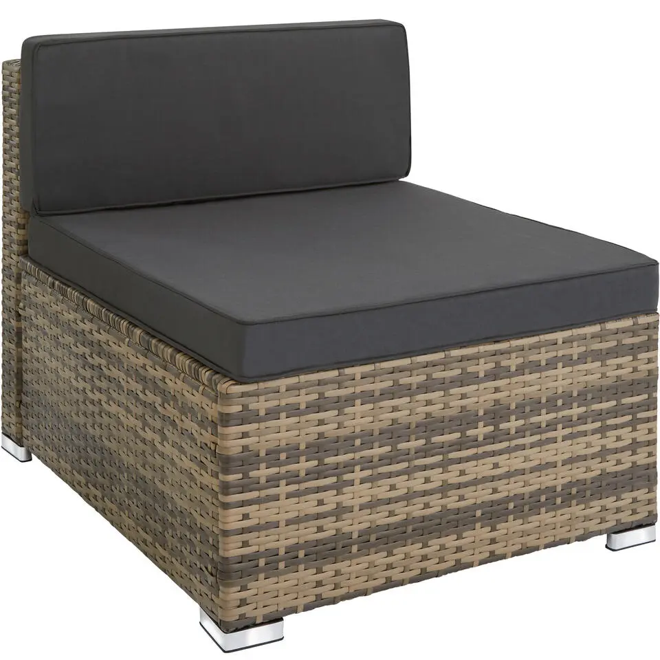 tectake - Loungeset Pisa met opbergbox kussens - wicker - naturel