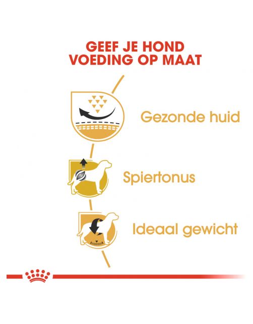 Royal Canin Pug (Mopshond) Adult - Hondenvoer