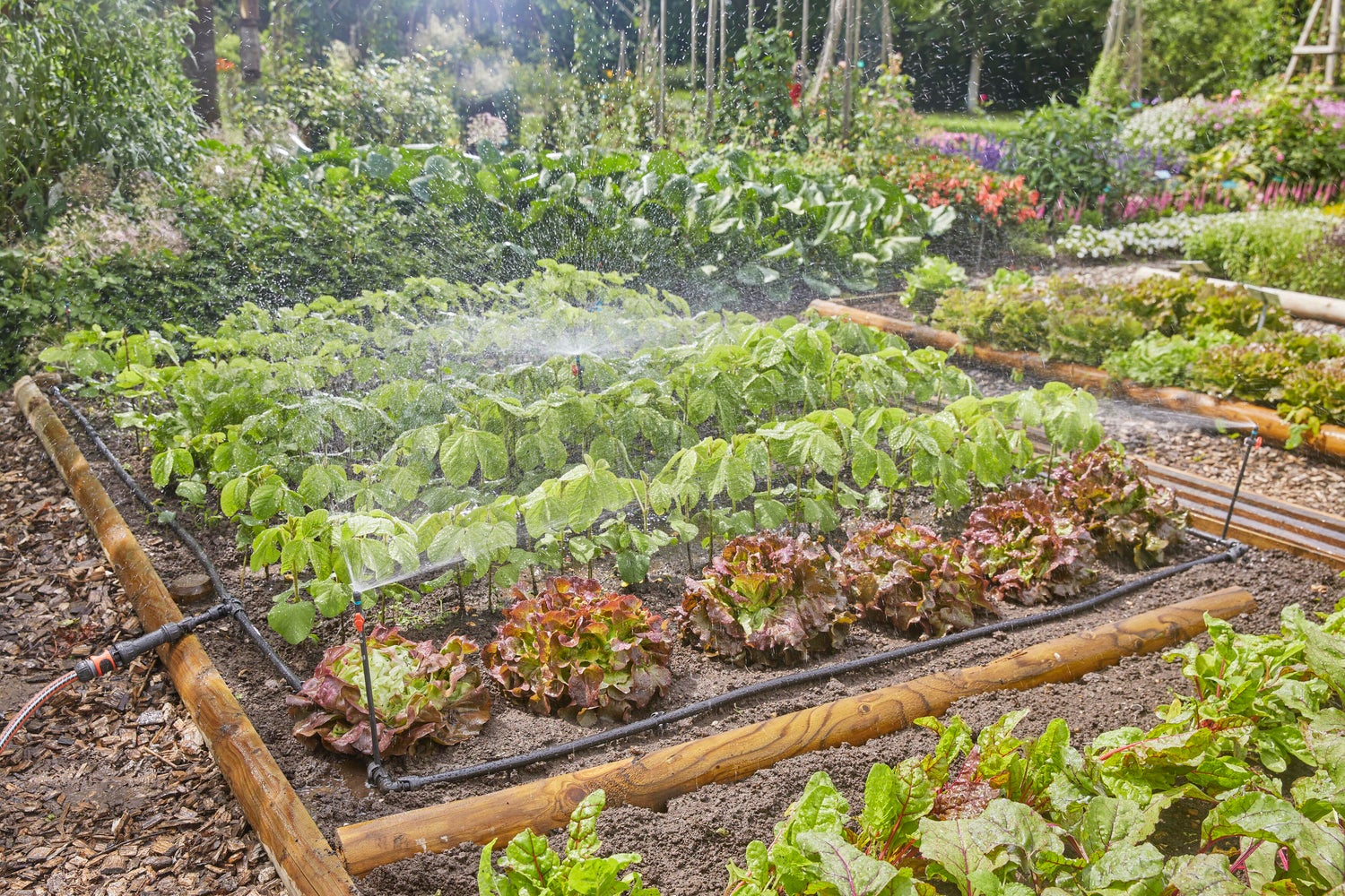 Gardena Micro Drip systeem druppelaar startset bloembedden en moestuinen 60 m²