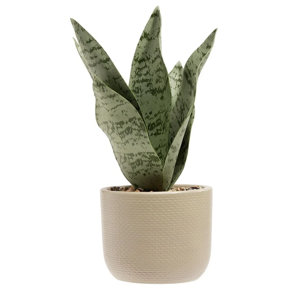 Aloe vera artificiel vert dans pot en ciment Ø10,3xH25,2cm