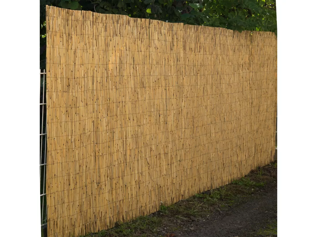 BRISE-VUE Aroa 60x160 cm, roseau couleurs naturelles
