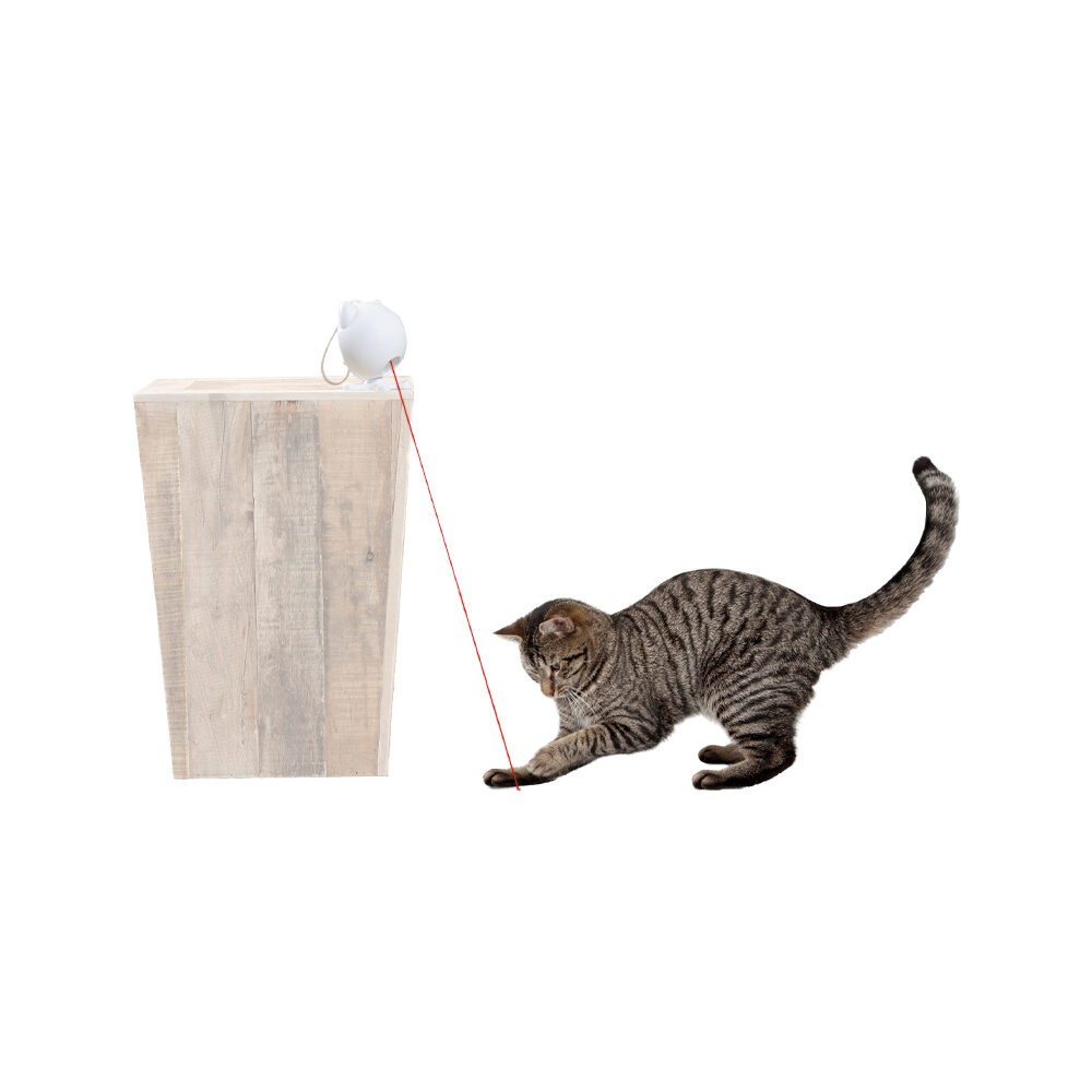 Frolicat Dancing Dot