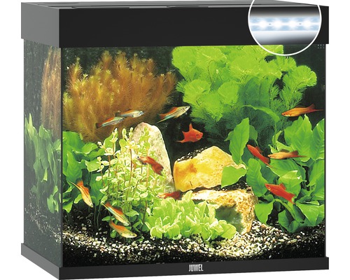 JUWEL Lido 120 aquarium met LED-verlichting, pomp, filter, verwarming (zonder kast), zwart