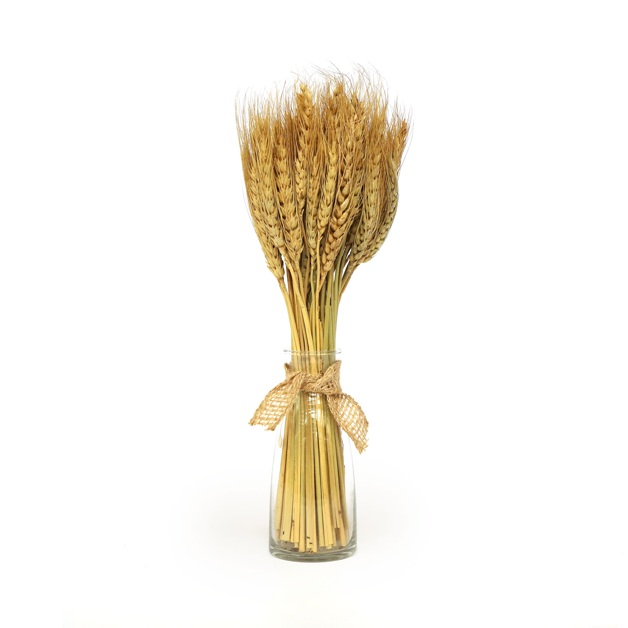 Strauß aus wildem Weizen im Glas, H 35 cm von fischer's lagerhaus