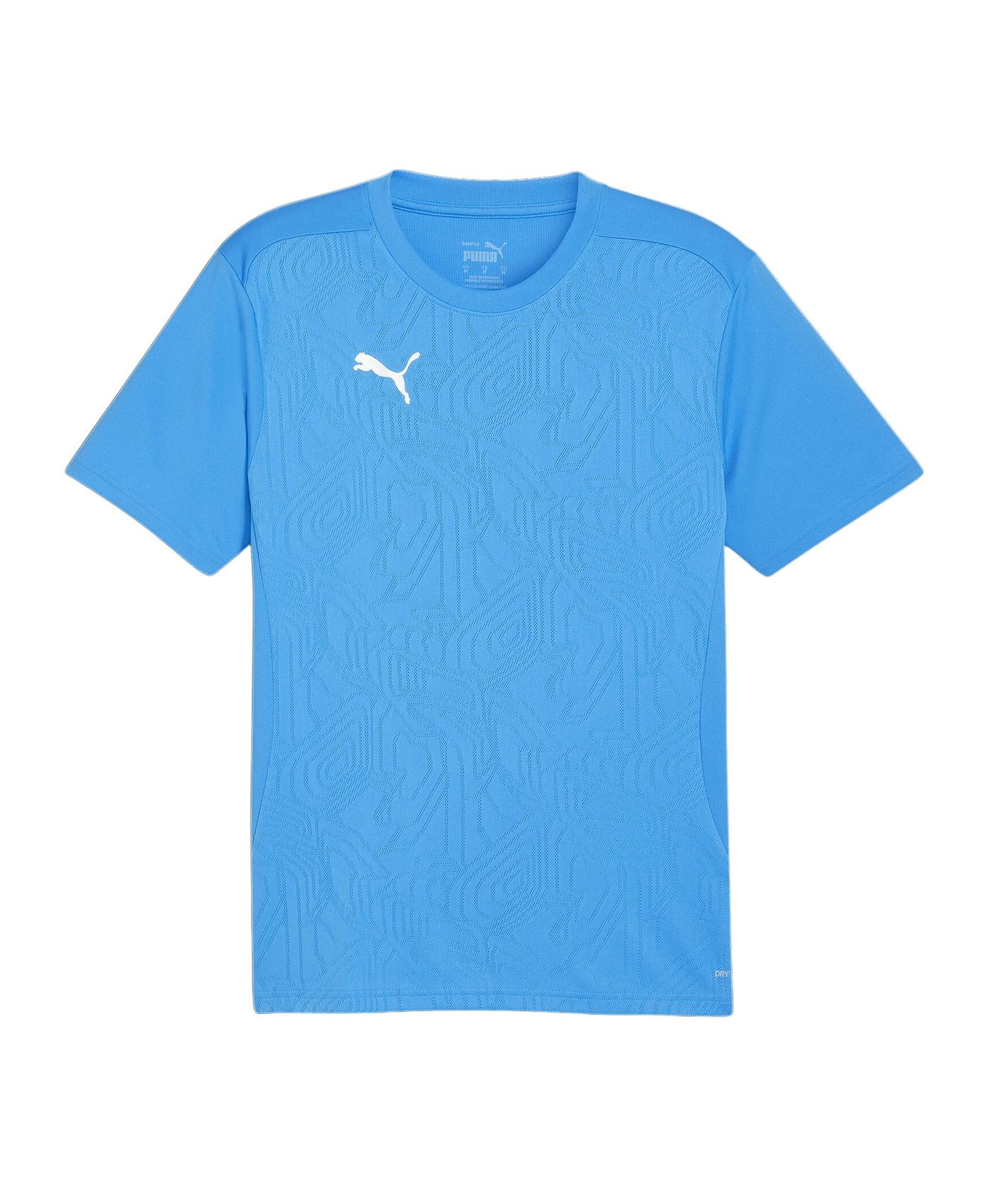 PUMA teamFINAL Trikot Blau F02