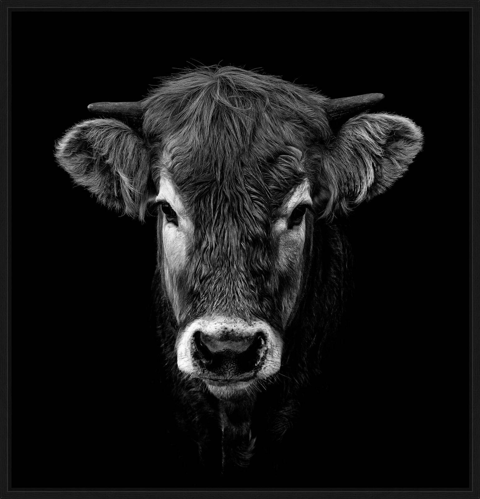 Caramelle by Claudio Gotsch - Limited Edition. Edition of: 150. Signed.