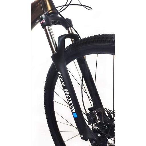 Bicicleta MTB 29