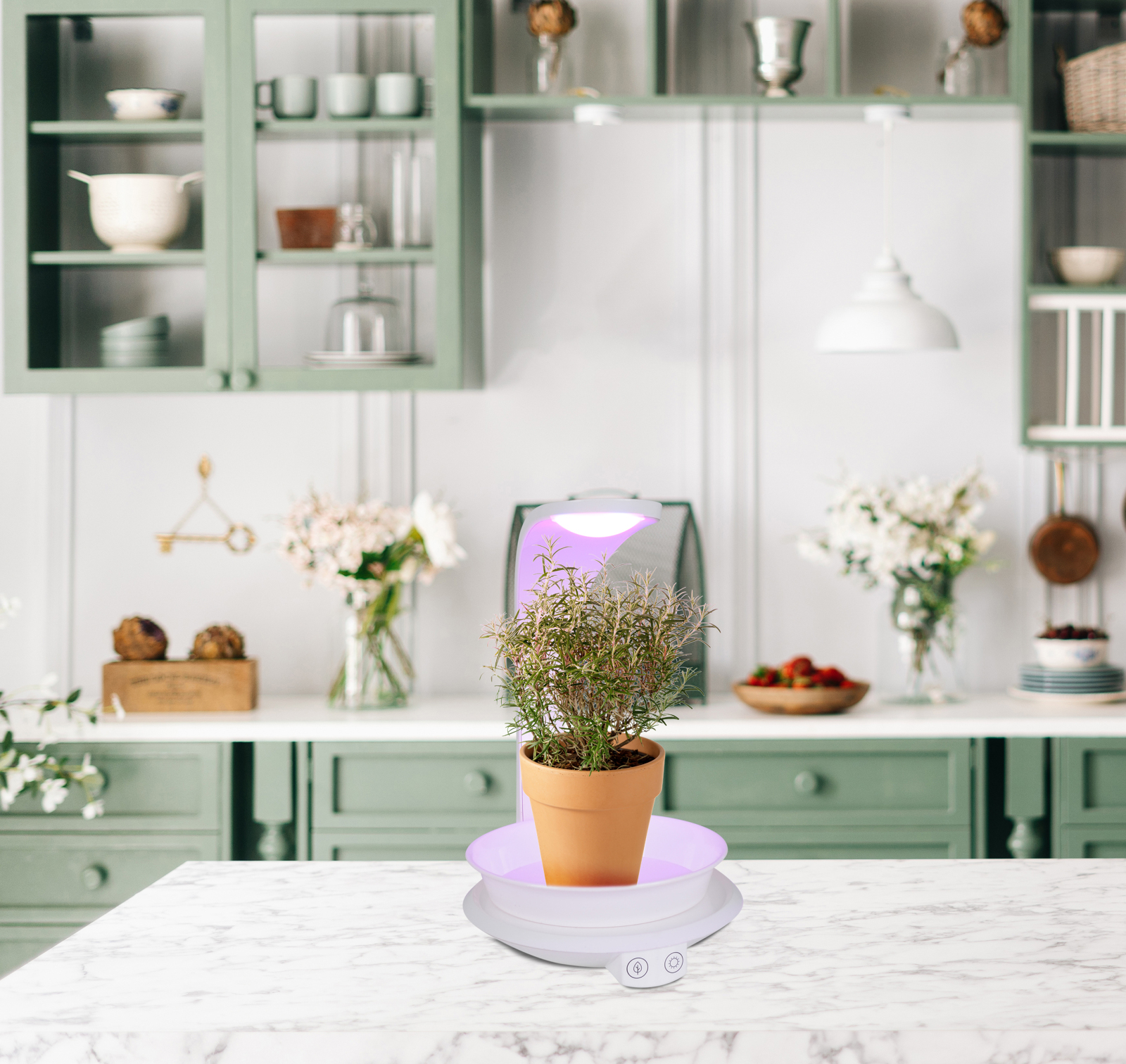 LED-Pflanzen-Tischleuchte - weiß - Touchschalter