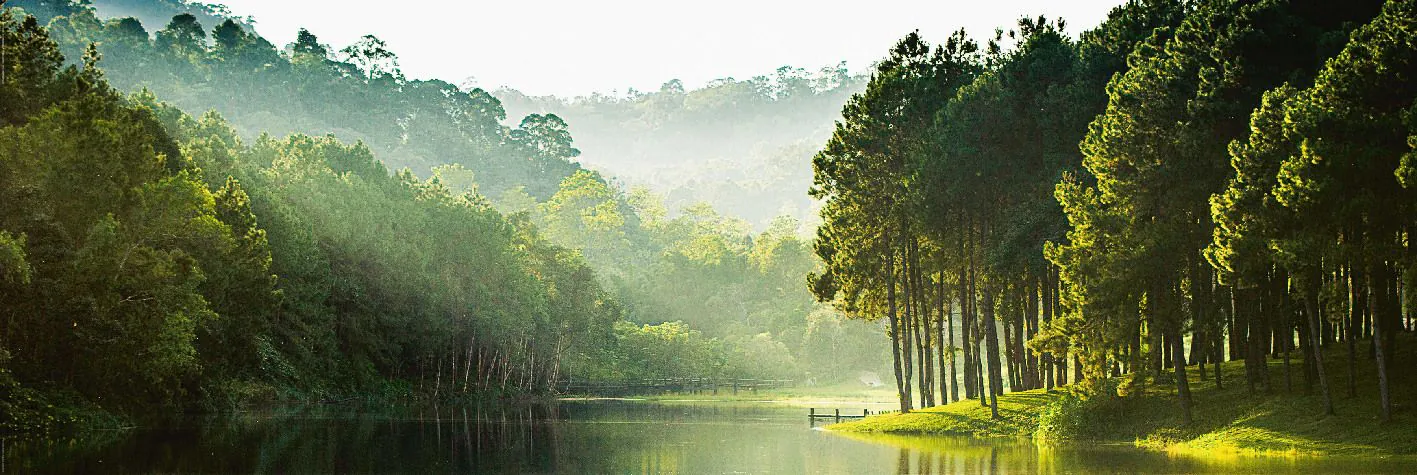 Poster Mystic Forest Lake, 53 x 158 cm