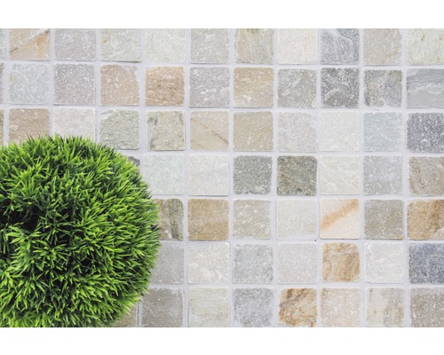 Natuursteenmozaïek XNT 46685 bruin/beige 30,5x30,5 cm