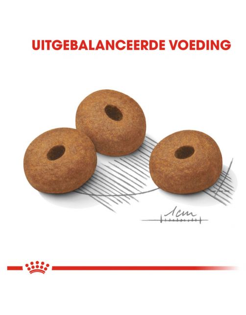 Royal Canin Light Weight Care Maxi - Hondenvoer