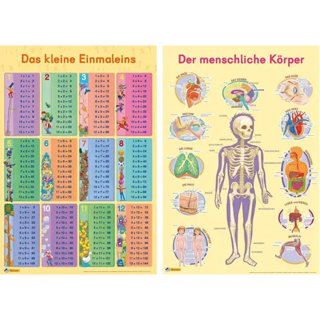 Nelson Mein Lernposter 2er Set - Einmaleins / Der menschliche Körper