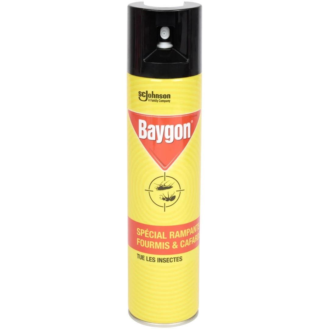 Spray anti-insectes Baygon