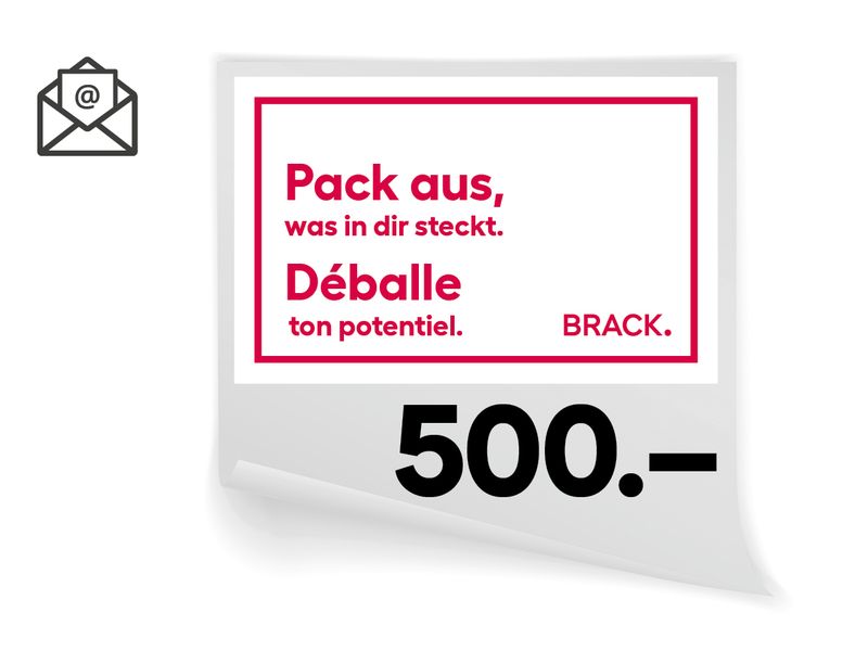 BRACK.CH Online-Geschenkgutschein CHF 500.- Online-Geschenkgutscheine – Lieferung per E-Mail!