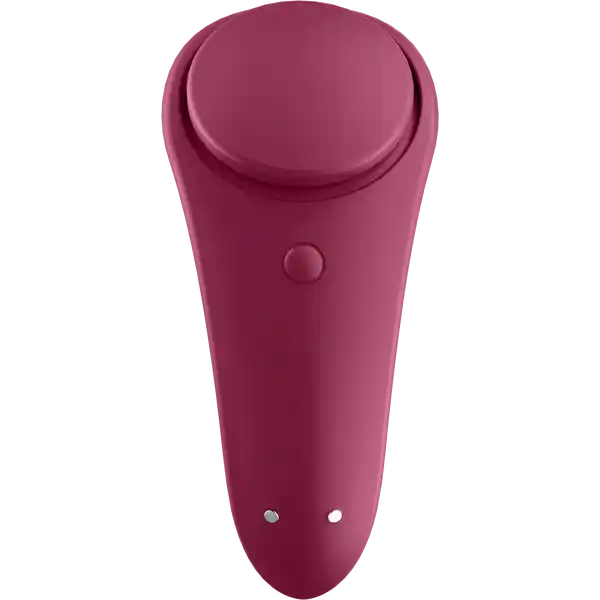 Sexy Secret Panty Vibrator
