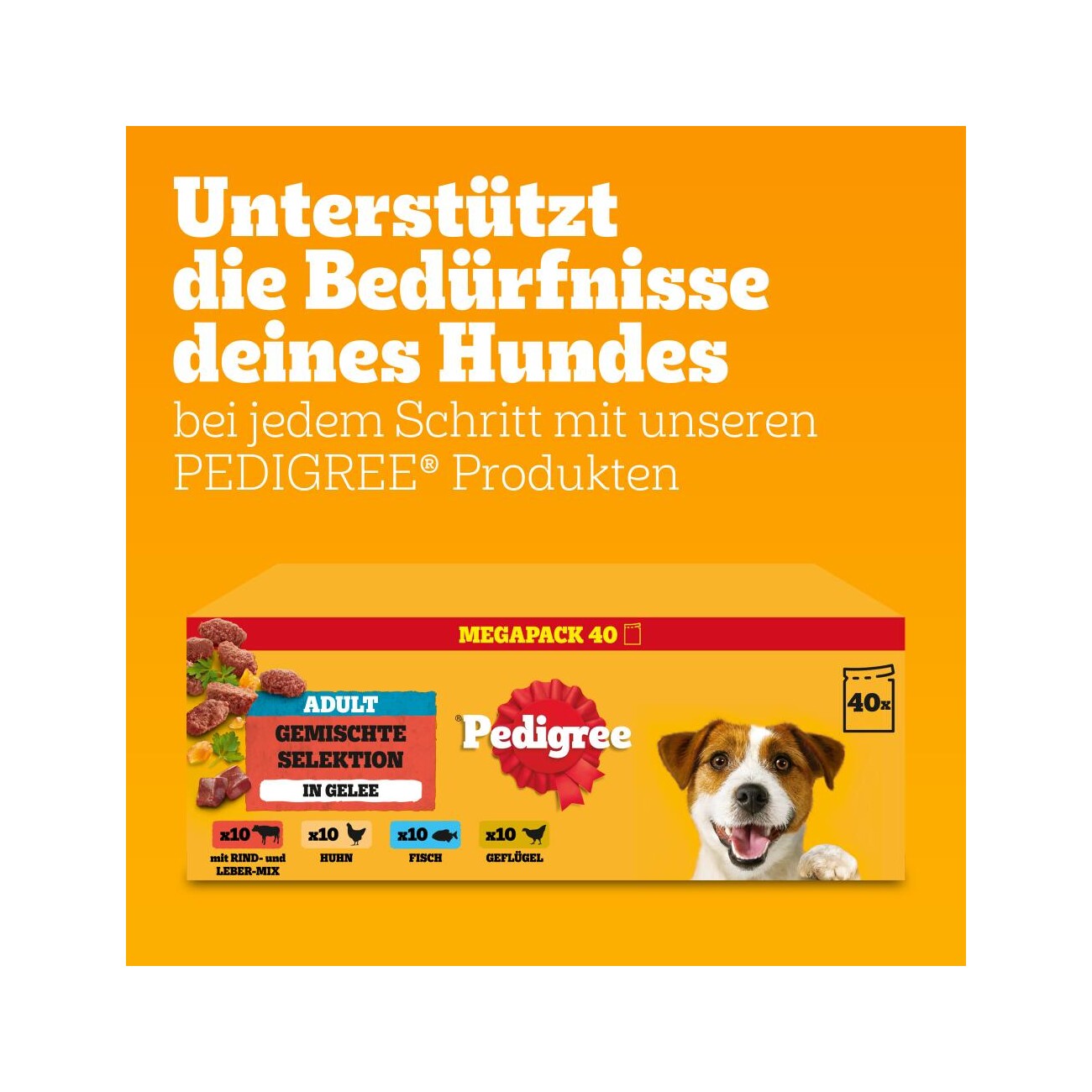 Pedigree Nassfutter Hund Adult, Multipack, Gemischte-Selektion, in Gelee 40x100 g
