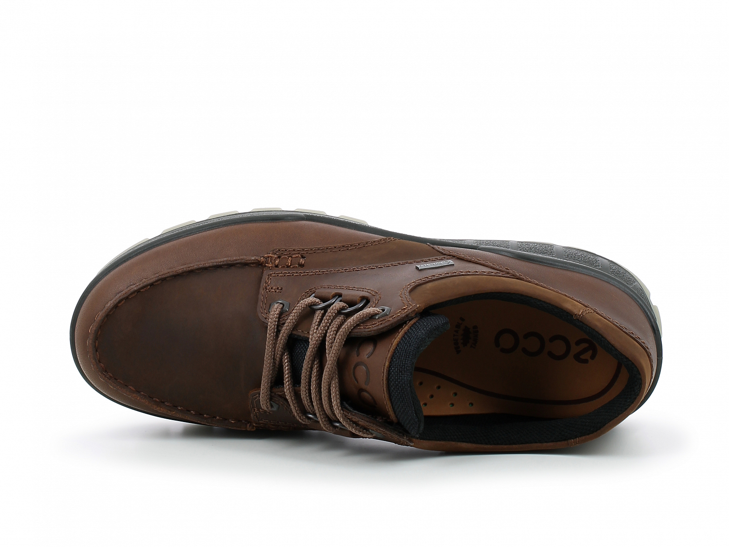 Ecco Track 25 low GTX