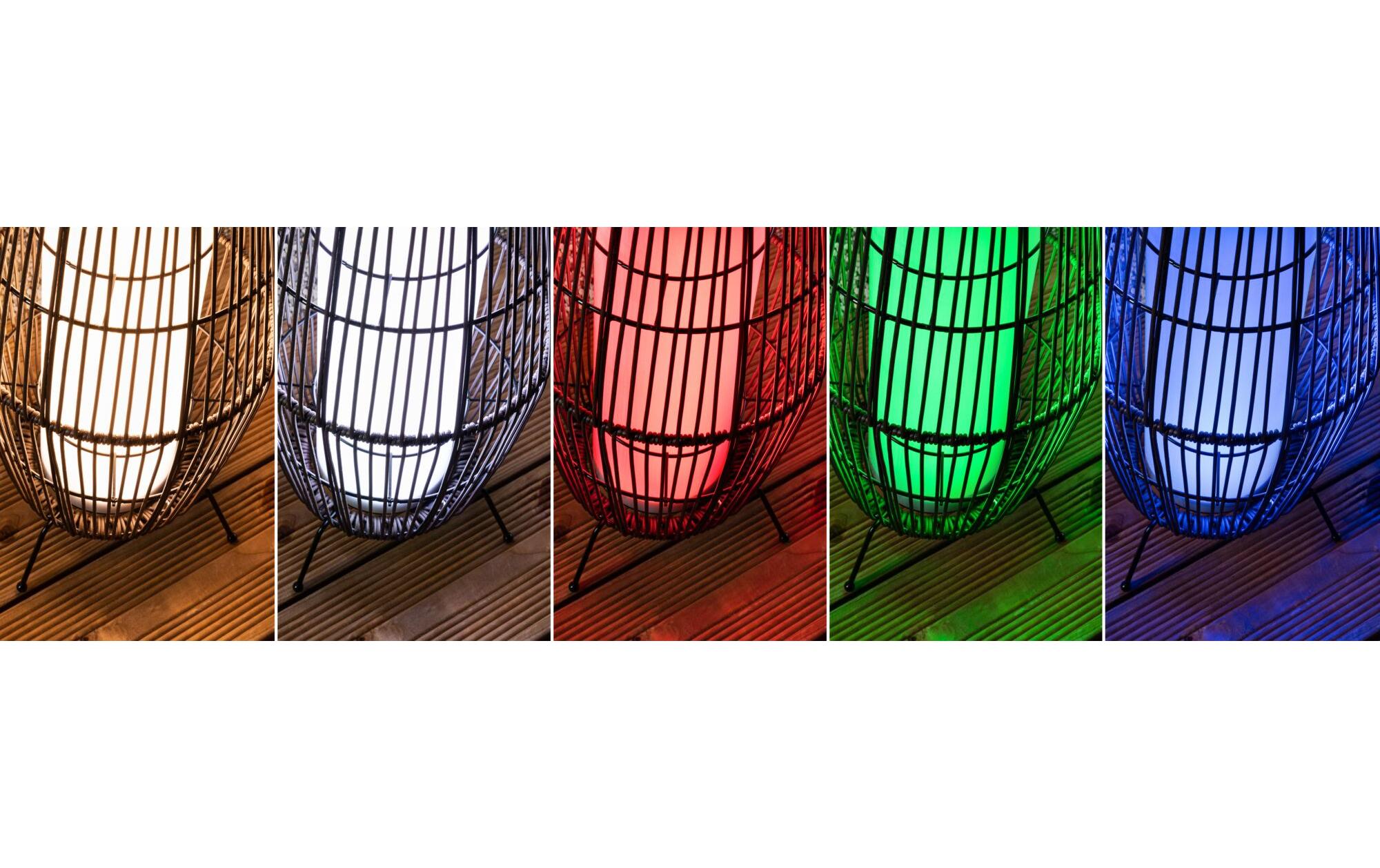 Stehleuchte Plug & Shine Basket, RGBW, 3.2W, Schwarz<br>LED Lichtobjekt