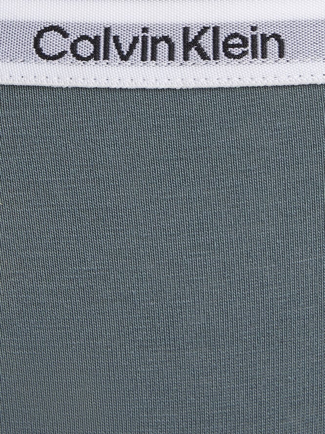 Calvin Klein BRAZILIAN Blue performance