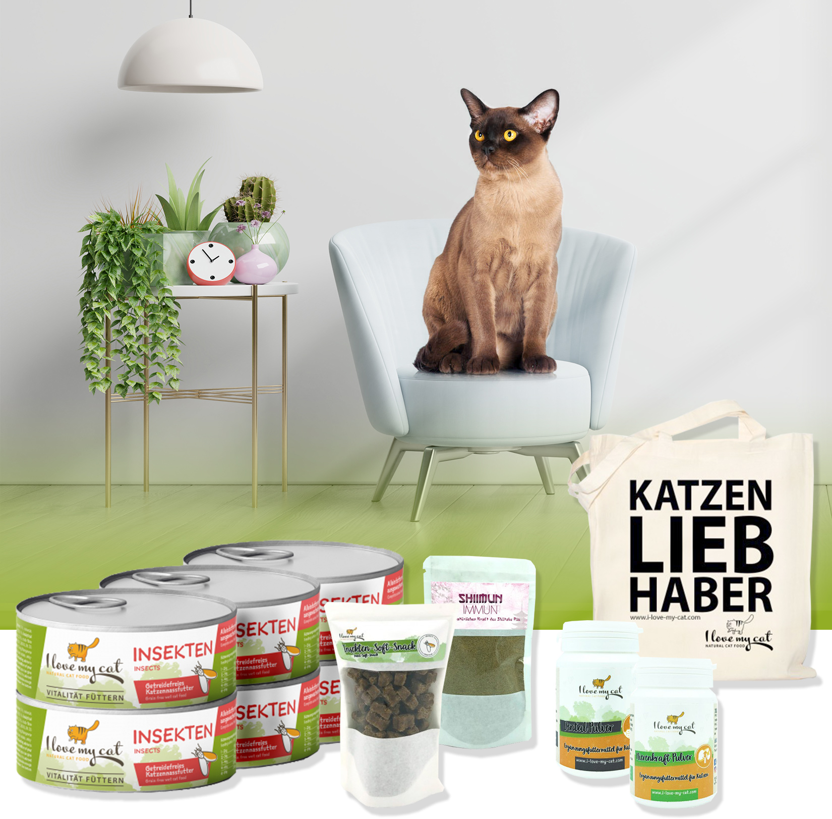 Kit d'épargne pour chat burmese