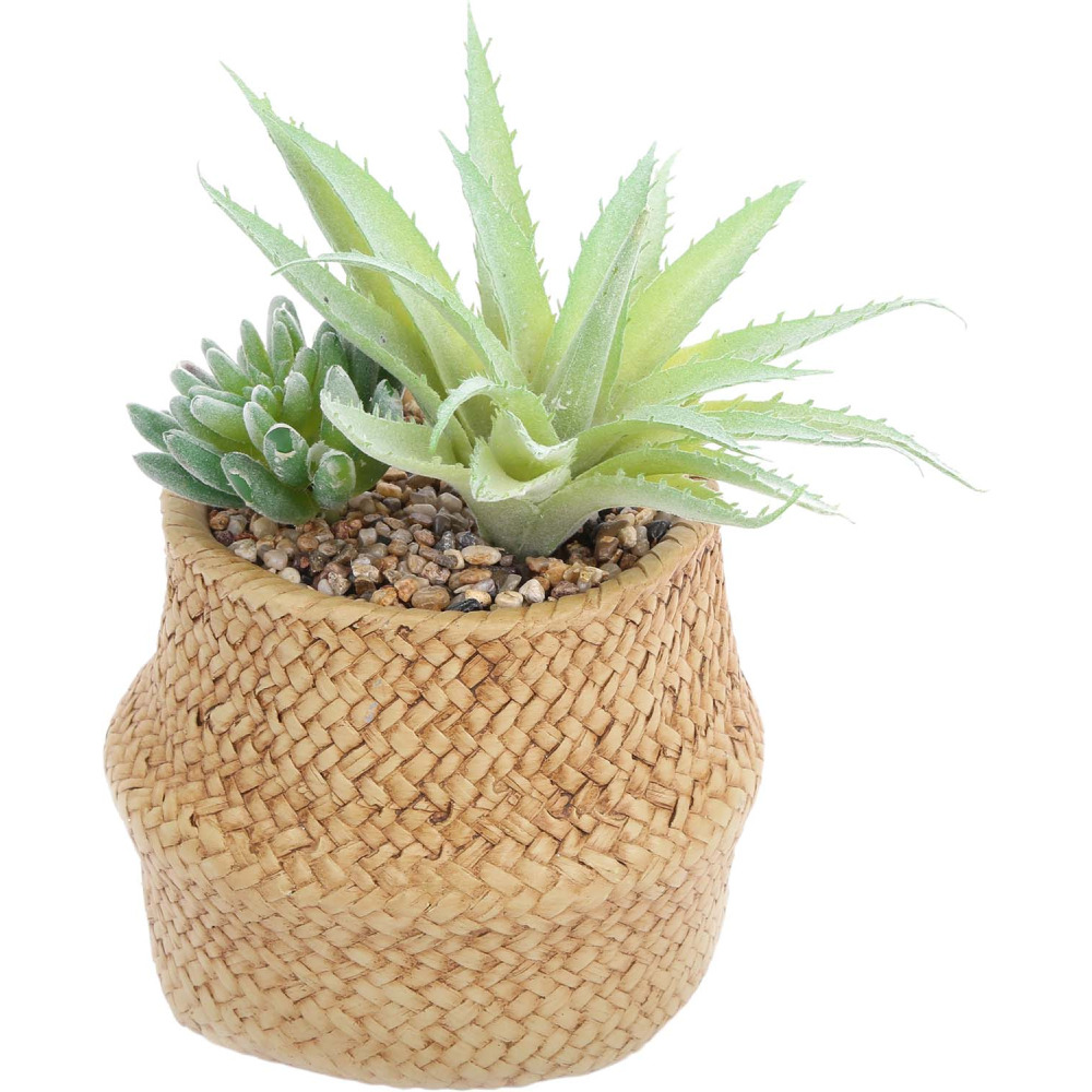 Succulente artificielle dans pot tressé 22 x 14 cm (lot de 2)