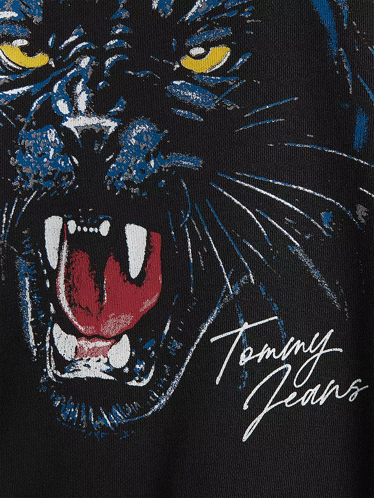 TOMMY JEANS Kapuzensweater - Hoodie schwarz