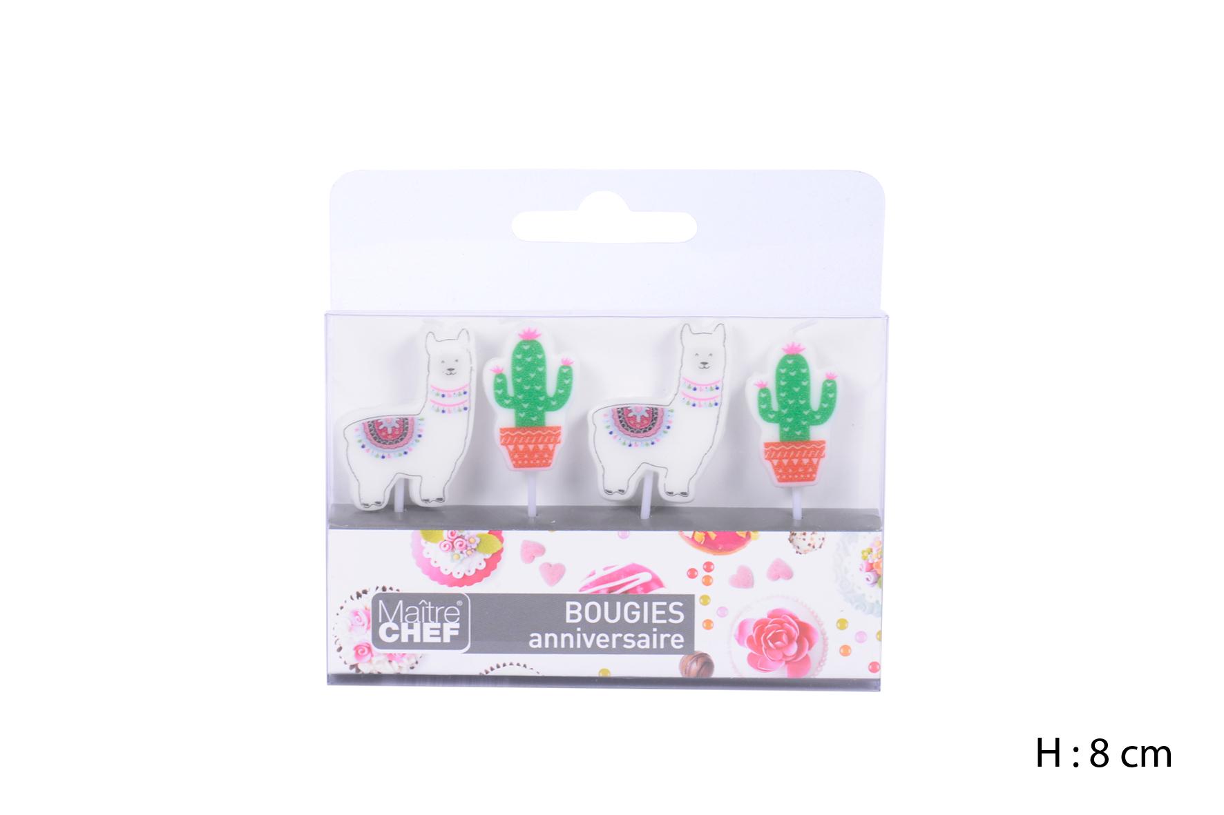 BOUGIE LAMA CACTUS