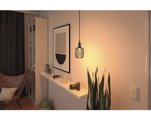 Paulmann Metallic Glow Cilindrische LED Lamp E27/4.2W (20W) zwart 200 lm 1800 K gloeilamp met kap