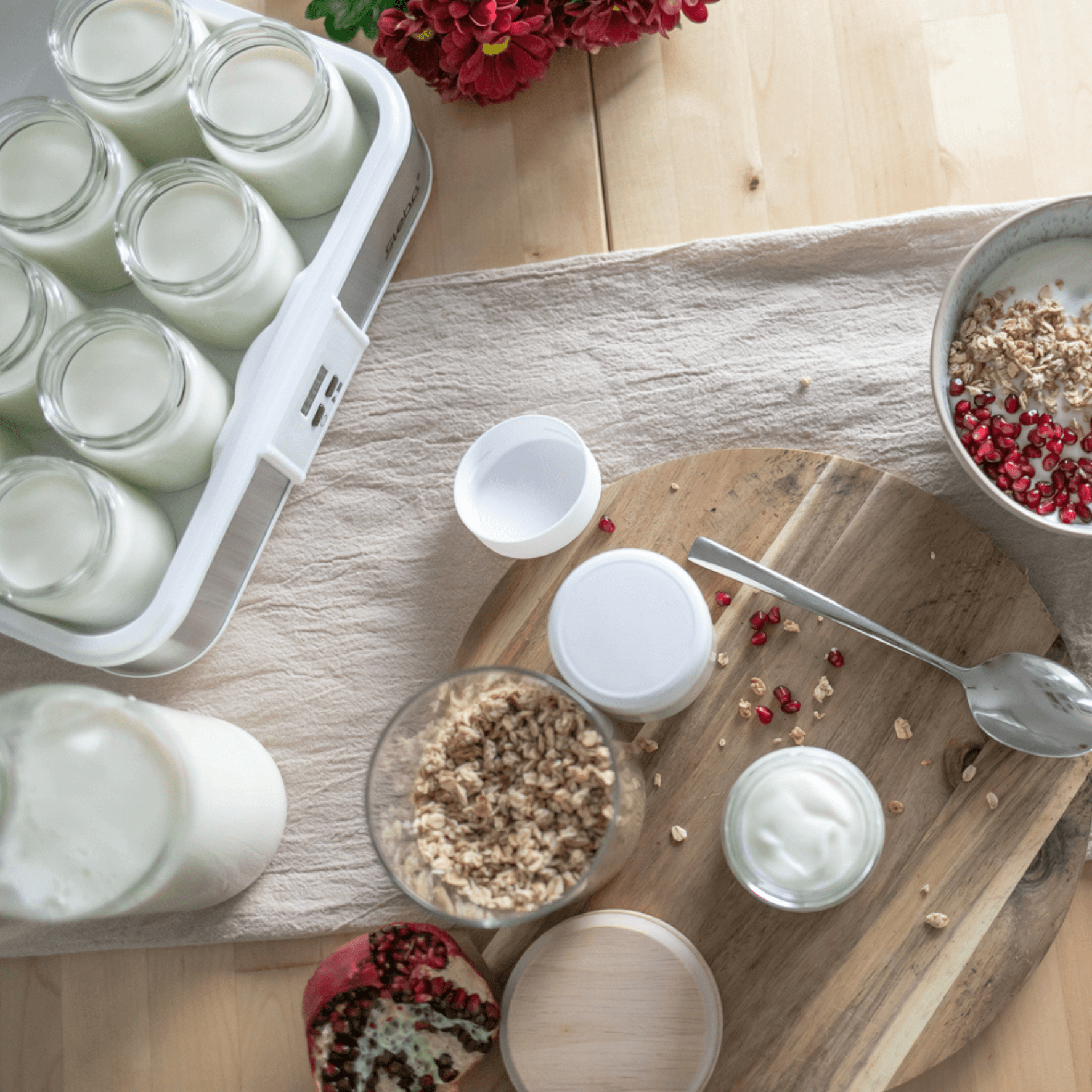 Steba JM 2 Yogurt maker