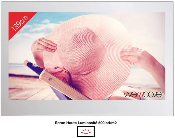 Wemoove WM-SFMTV553HEVC TV LED