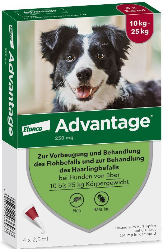 Advantage® 250 - Pipetten voor Honden - Vlooienbestrijding - 10kg tot 25kg