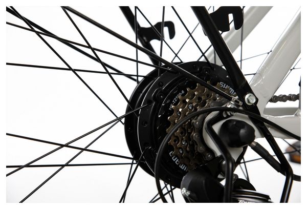 Vélo de Ville Électrique Bicyklet Louison Shimano Tourney 6V 400 Wh 700 mm Gris - Produit Reconditionné