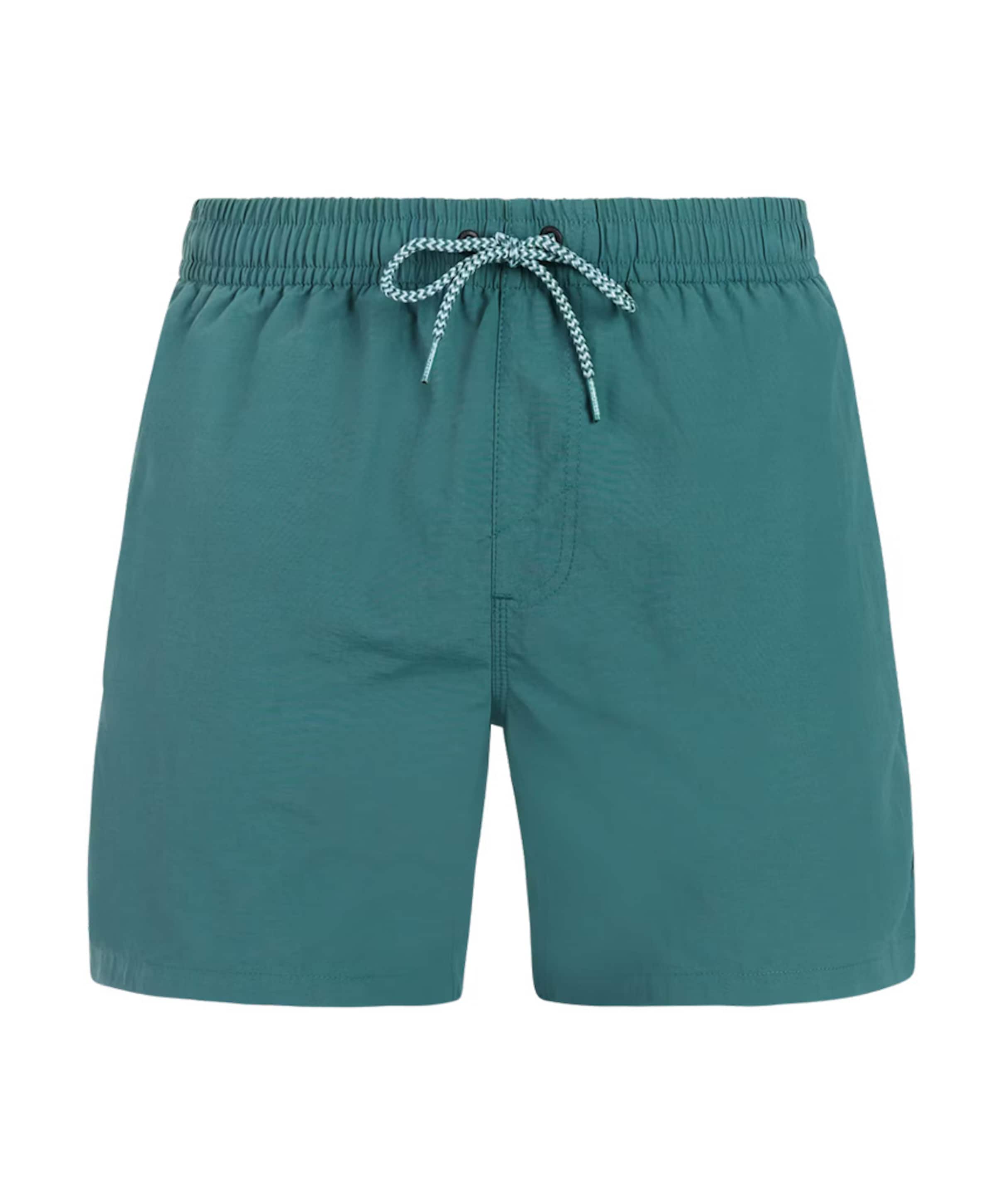 Protest Heren zwemshort groen