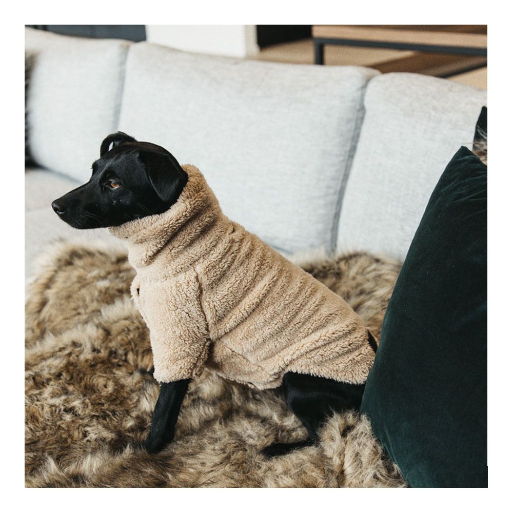 Kentucky TEDDY FLEECE - Chemise polaire pour chien beige