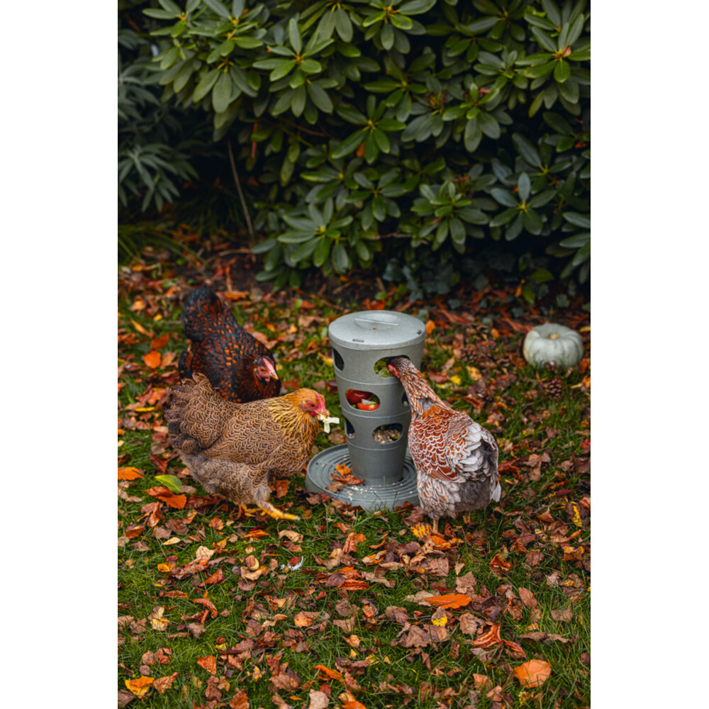 Beeztees Voertoren voor Kippen Grijs30 cm